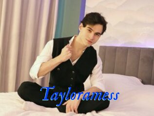 Tayloramess