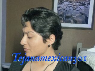 Tejanamexican301