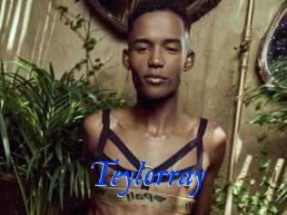 Teylorray