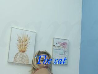 The_cat