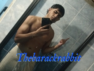 Thebarackrabbit