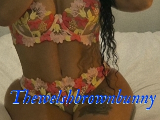 Thewelshbrownbunny