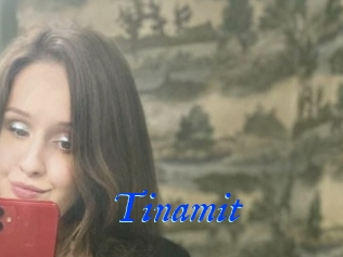 Tinamit