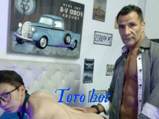 Toro_hot
