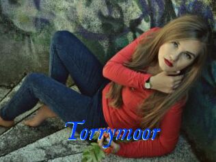 Torrymoor