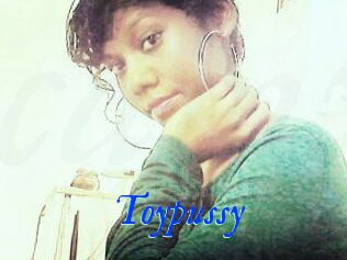 Toypussy