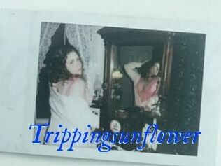 Trippingsunflower