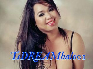TsDREAMhalo01