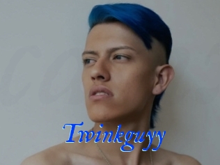 Twinkguyy