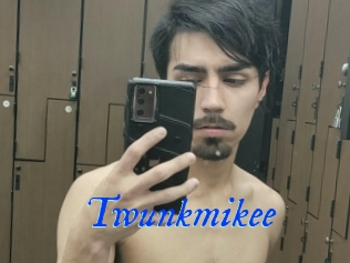 Twunkmikee