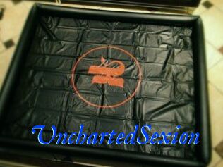 UnchartedSexion