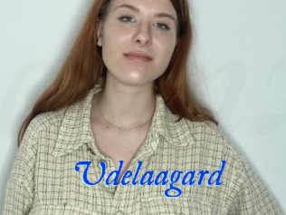 Udelaagard