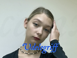 Udelegriff