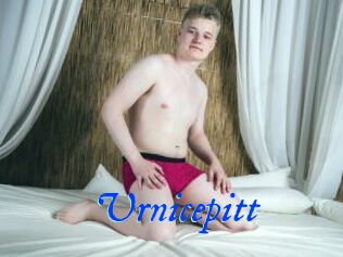 Urnicepitt