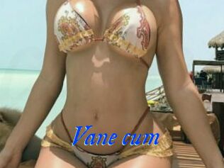 Vane_cum