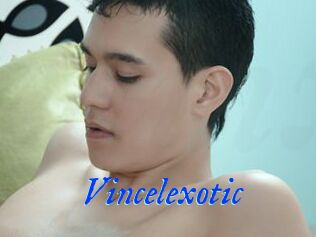 Vincelexotic