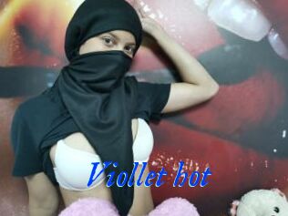 Viollet_hot