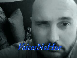 VoicesNoHue