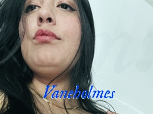 Vaneholmes