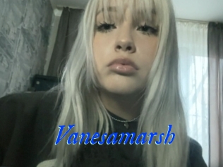 Vanesamarsh