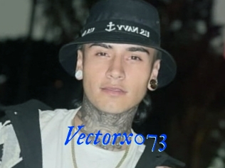 Vectorx073