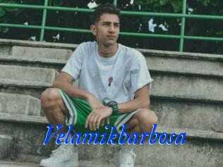 Velamikbarbosa