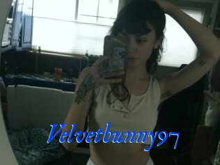 Velvetbunny97