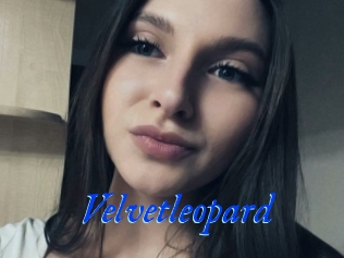 Velvetleopard
