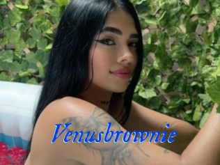 Venusbrownie