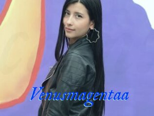 Venusmagentaa