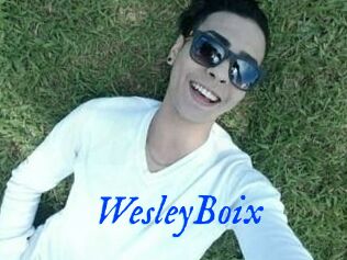 Wesley_Boix