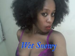 Wet_Snowy