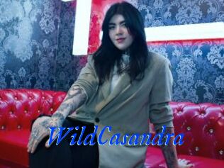 WildCasandra