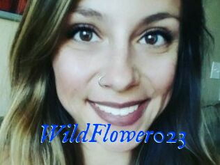 WildFlower023