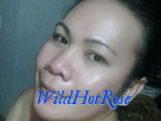 WildHotRose