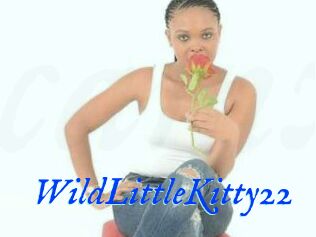 WildLittleKitty22