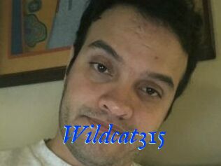 Wildcat315