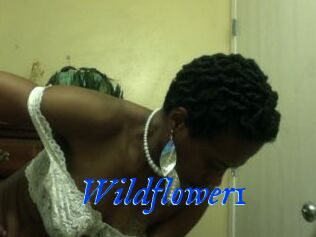 Wildflower1