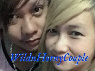 WildnHornyCouple