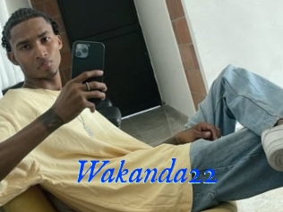 Wakanda22