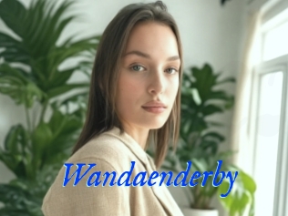 Wandaenderby