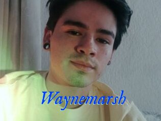 Waynemarsh