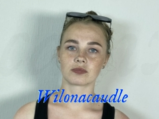 Wilonacaudle