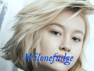 Wilonefudge