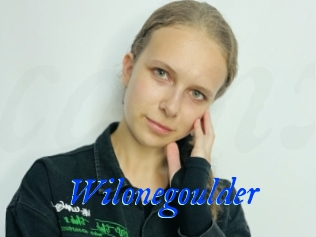 Wilonegoulder