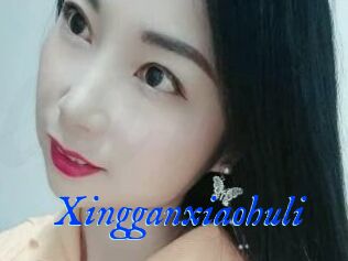 Xingganxiaohuli