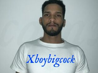 Xboybigcock