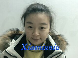 Xiaoniuniu