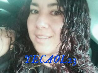 YECAOL23