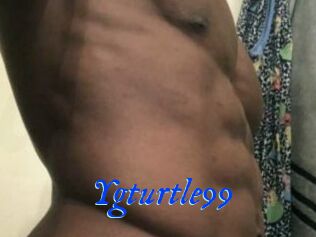 Ygturtle99